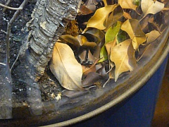 &nbsp;Select this image to see a larger version. 