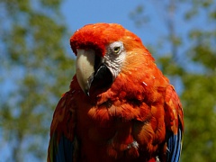 &nbsp;Select this image to see a larger version. 