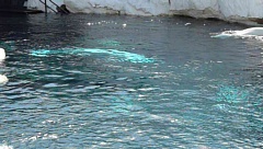 &nbsp;Select this image to see a larger version. 