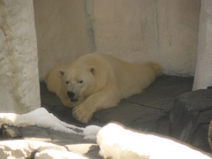 &nbsp;Select this image to see a larger version. 