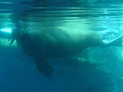 &nbsp;Select this image to see a larger version. 