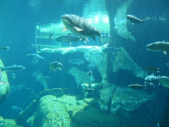 &nbsp;Select this image to see a larger version. 