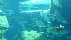 &nbsp;Select this image to see a larger version. 