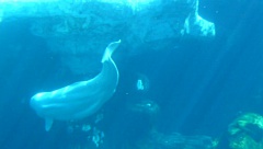 &nbsp;Select this image to see a larger version. 