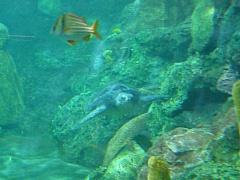 &nbsp;Select this image to see a larger version. 