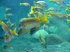 &nbsp;Select this image to see a larger version. 