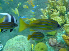 &nbsp;Select this image to see a larger version. 