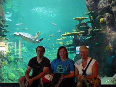 &nbsp;Select this image to see a larger version. 