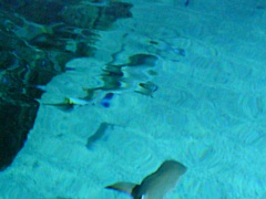 &nbsp;Select this image to see a larger version. 