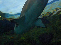 &nbsp;Select this image to see a larger version. 