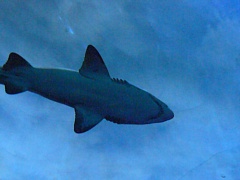 &nbsp;Select this image to see a larger version. 