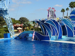 &nbsp;Select this image to see a larger version. 