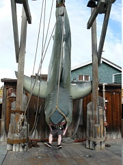 &nbsp;Select this image to see a larger version. 