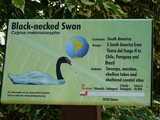 &nbsp;Select this image to see a larger version. 