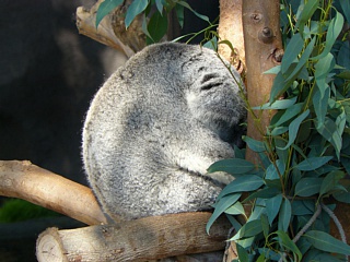 &nbsp;Select this image to see a larger version. 