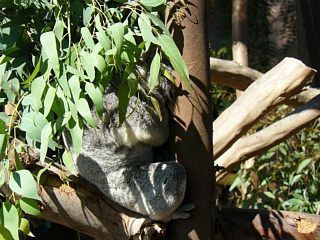 &nbsp;Select this image to see a larger version. 