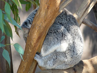 &nbsp;Select this image to see a larger version. 