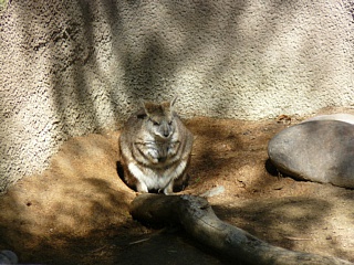 &nbsp;Select this image to see a larger version. 