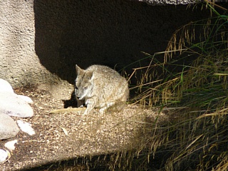 &nbsp;Select this image to see a larger version. 