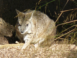 &nbsp;Select this image to see a larger version. 