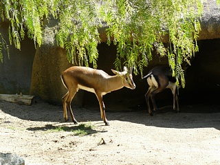 &nbsp;Select this image to see a larger version. 