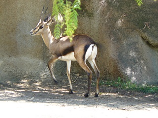 &nbsp;Select this image to see a larger version. 