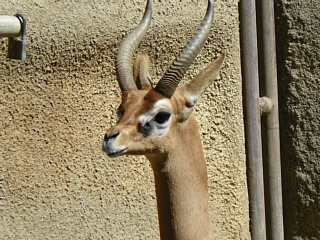 &nbsp;Select this image to see a larger version. 