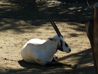 &nbsp;Select this image to see a larger version. 