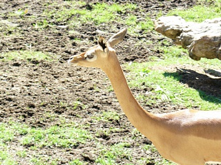 &nbsp;Select this image to see a larger version. 