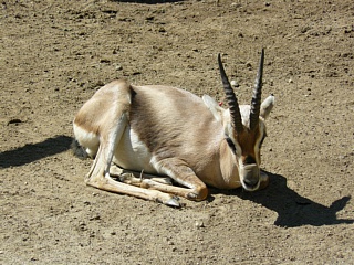 &nbsp;Select this image to see a larger version. 