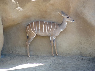 &nbsp;Select this image to see a larger version. 