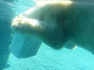 &nbsp;Select this image to see a larger version. 