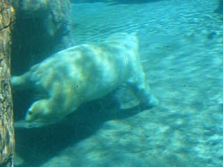 &nbsp;Select this image to see a larger version. 