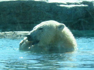 &nbsp;Select this image to see a larger version. 