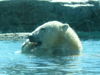 &nbsp;Select this image to see a larger version. 