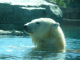 &nbsp;Select this image to see a larger version. 