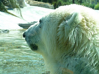 &nbsp;Select this image to see a larger version. 