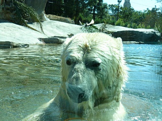 &nbsp;Select this image to see a larger version. 