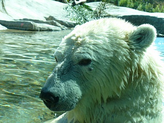 &nbsp;Select this image to see a larger version. 