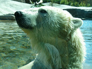 &nbsp;Select this image to see a larger version. 