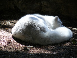 &nbsp;Select this image to see a larger version. 