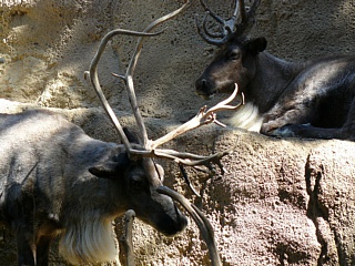 &nbsp;Select this image to see a larger version. 