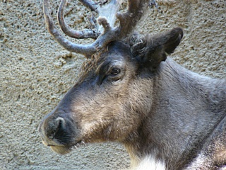 &nbsp;Select this image to see a larger version. 