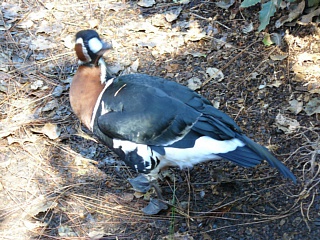 &nbsp;Select this image to see a larger version. 