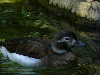 &nbsp;Select this image to see a larger version. 