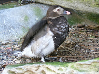 &nbsp;Select this image to see a larger version. 