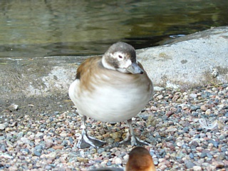 &nbsp;Select this image to see a larger version. 