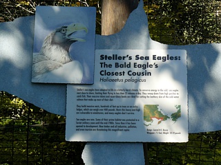 &nbsp;Select this image to see a larger version. 