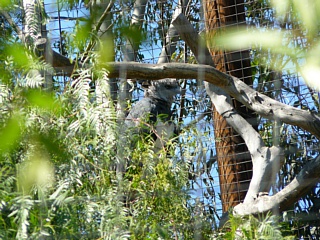 &nbsp;Select this image to see a larger version. 