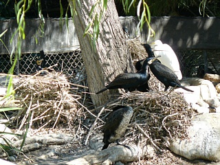 &nbsp;Select this image to see a larger version. 